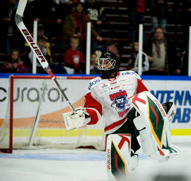 Bläddra bland fler bilder av Ishockey, Allsvenskan, Malmö - Borås