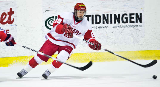 Ishockey, småklubbs, Tyringe - Limhamn