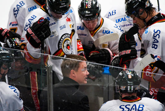 Roger Rönnberg, tränare