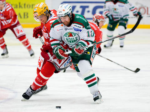 Peter Högardh, Rögle och Magnus Pääjärvi Svensson,