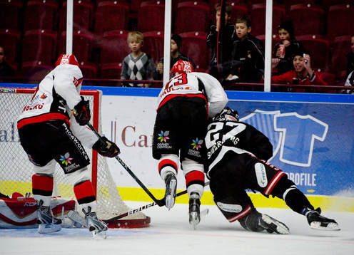 Bläddra bland fler bilder av Ishockey, Allsvenskan, Malmö - Almtuna