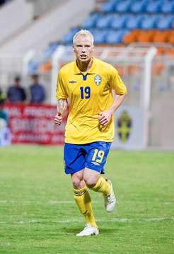 Alexander Farnerud, Sverige