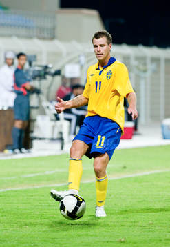 Pontus Farnerud, Sverige