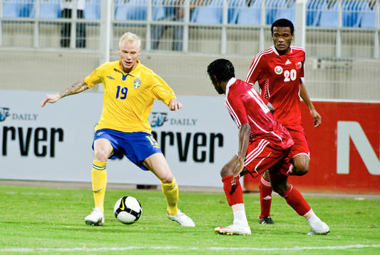 Alexander Farnerud, Sverige