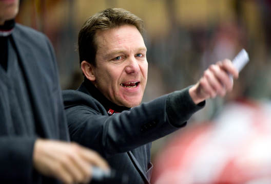 Charles Berglund, Tränare Timrå