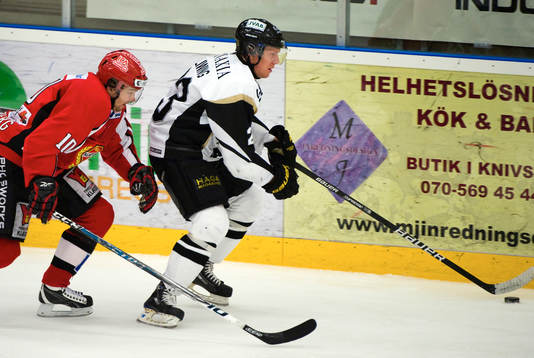 Fredrik Vestberg, Almtuna och Jonas Liwing, AIK