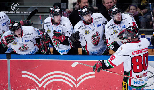 Samuli Suhonen, Modo Jubel