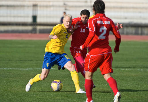 Alexander Farnerud, Sverige