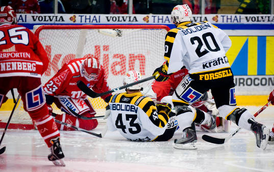 Tomas Surovy, Skellefteå mål