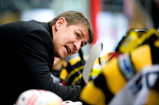 Hans Särkijärvi, Tränare Skellefteå