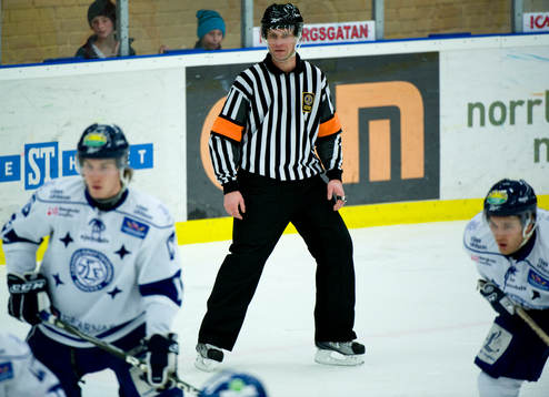 Domare Niclas Johansson