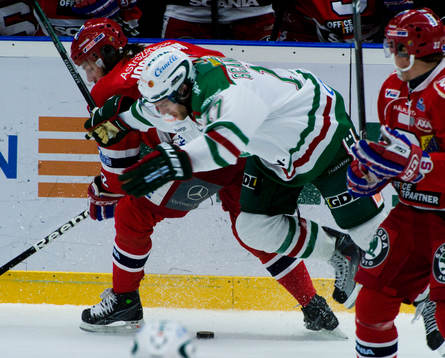 Daniel Josefsson, Södertälje och Giulio Scandella, Rögle