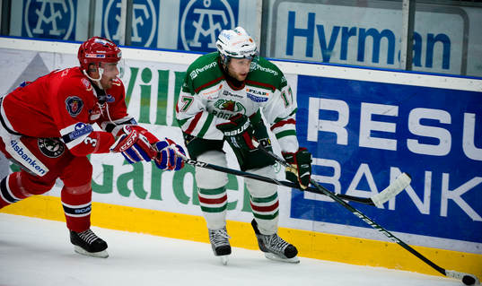 Pierre Hedin, Södertälje och Giulio Scandella, Rögle