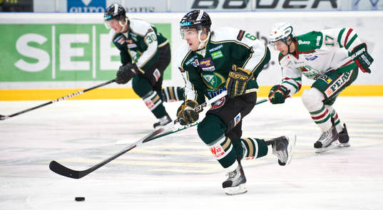 Jonas Holös, Färjestad