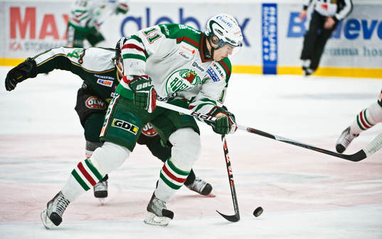 Mattias Sjögren, Rögle