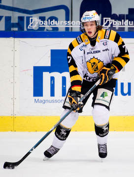 David Rundblad, Skellefteå