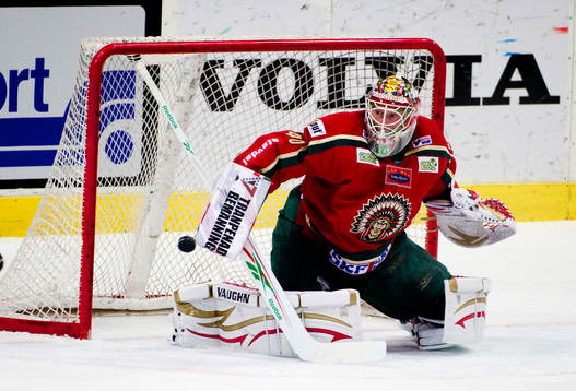 Johan Holmqvist, målvakt