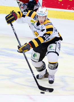 Erik Forssell, Skellefteå