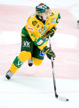 Ishockey, Allsvenskan, Nils Andersson, Björklöven