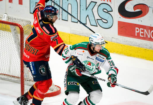Andreas Holmqvist, Djurgården och Jakob Johansson, Rögle