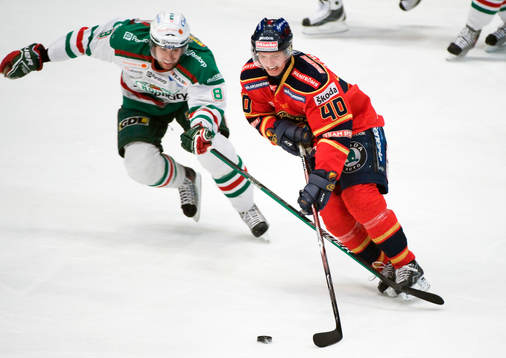 Mathias Porseland, Rögle och Jacob Josefson, Djurgården