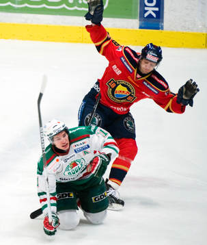 Mattias Sjögren, Rögle och Michael Holmqvist, Djurgården