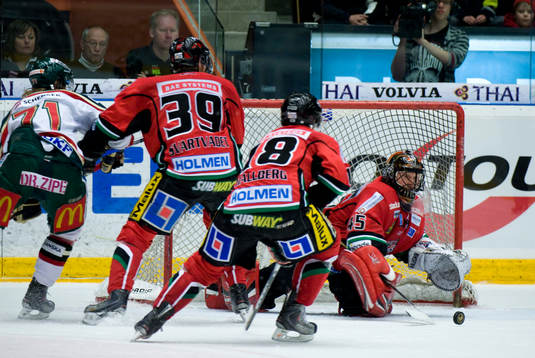 Roman Malek, Målvakt Modo