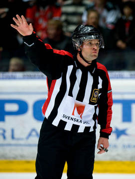 Patrik Sjöberg, Domare