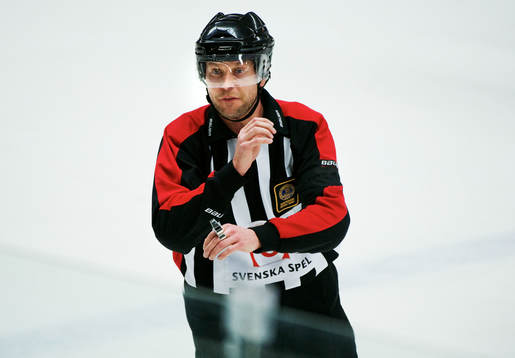 Ulf Rönnmark, domare