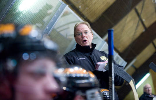 Stephen Higgins, tränare, Osby