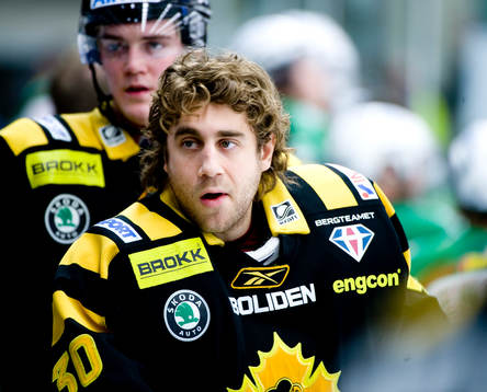 Bläddra bland fler bilder av Ishockey, Elitserien, Rögle - Skellefteå