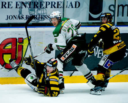 Fredrik Warg, Skellefteå och Eric Beaudoin, Rögle
