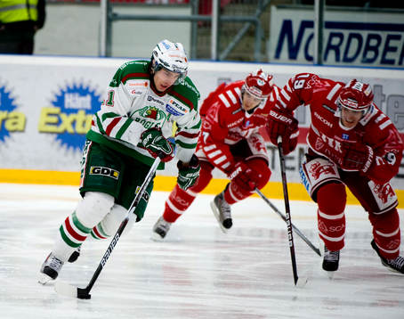 Mattias Sjögren, Rögle och Björn Svensson, Timrå