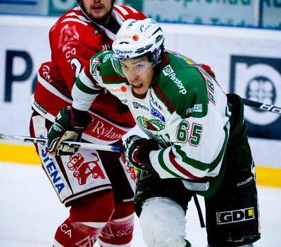 Andreé Brendheden, Rögle