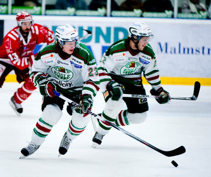 Simon Hjalmarsson, Rögle