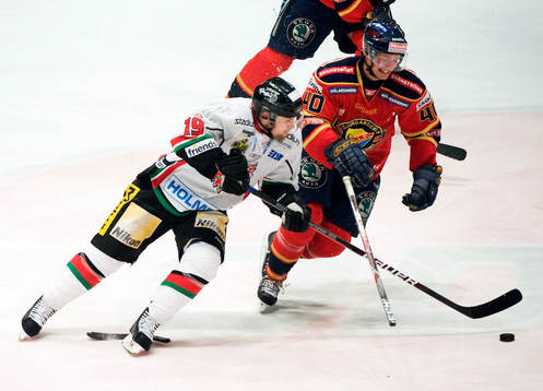 Markus Näslund, Modo och Jacob Josefson, Djurgården