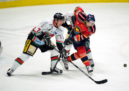 Mattias Timander, Modo och Jimmie Ölvestad, Djurgården