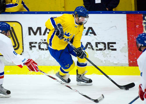 Joachim Nermark, Sverige