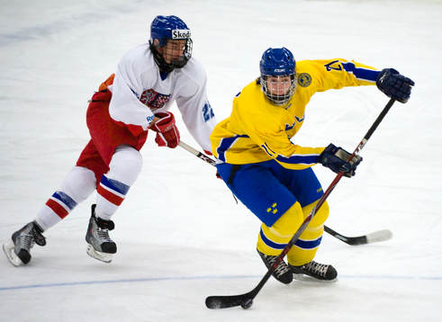 Petr Beranek, Tjeckien och Mika Zibanejad, Sverige