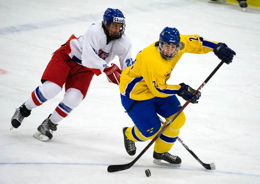 Petr Beranek, Tjeckien och Mika Zibanejad, Sverige