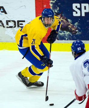 Mika Zibanejad, Sverige