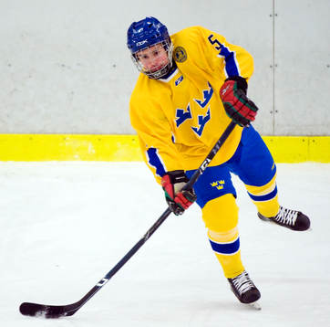Petter Runesson, Sverige