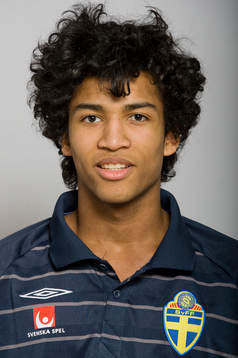 Edvin Ekholm, Sverige