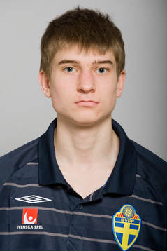 Mikael Eriksson, Sverige