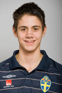 Mirza Mujcic, Sverige