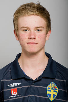 Dennis Widgren, Sverige