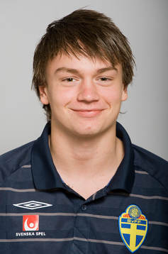Fredrik Alnäs, Sverige
