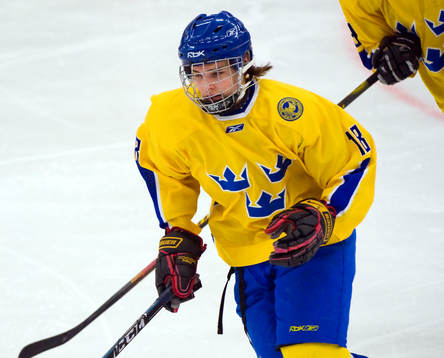 Linus Fröberg, Sverige