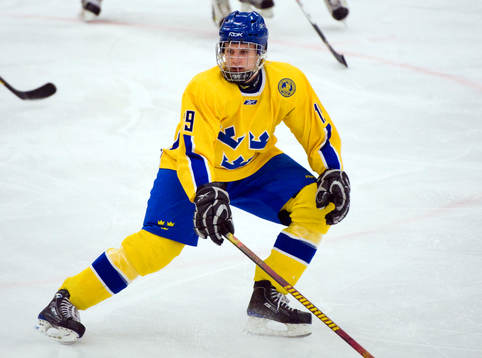 Sebastian Harila-Björkman, Sverige