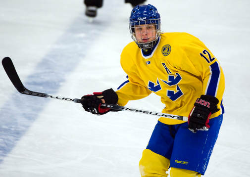 Max Görtz, Sverige